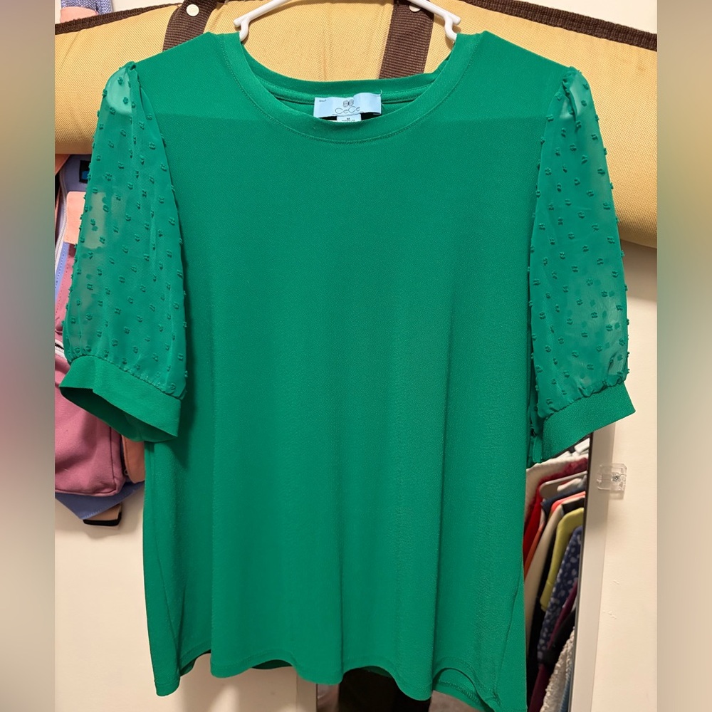 CeCe Green Blouse with Sheer Sleeves